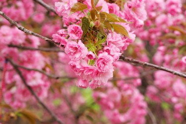南通如东8线下个人借款平台一站式服务，轻松解决资金难题