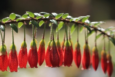 南通如东8零用贷短借：轻松解决临时资金需求