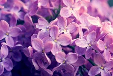 南通如东8企业急用钱贷款攻略：快速融资解燃眉之急